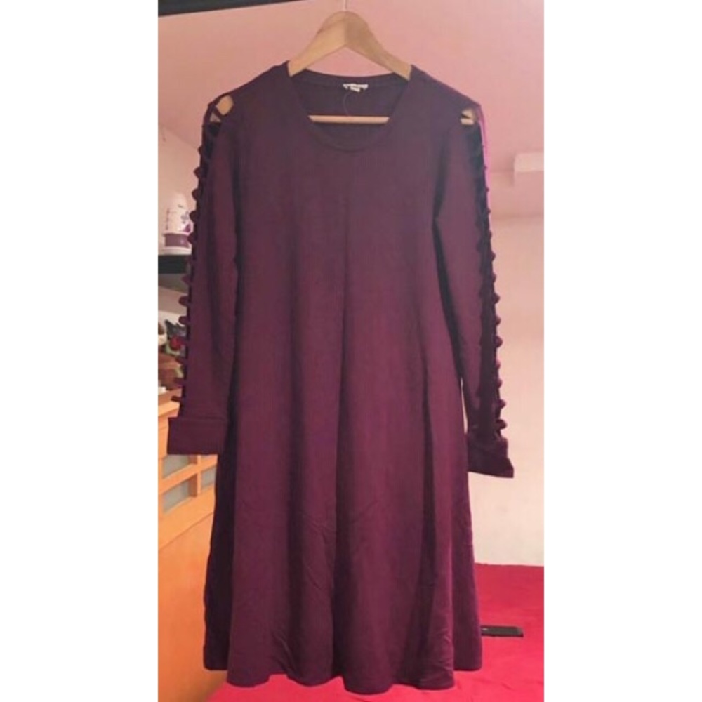 Spense burgandy dress.